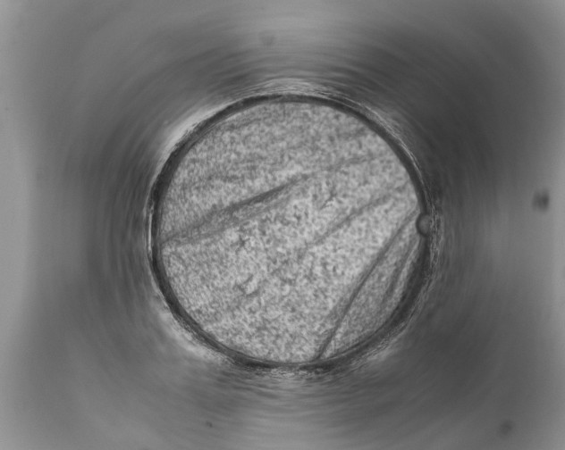 X0000111920987200908171320