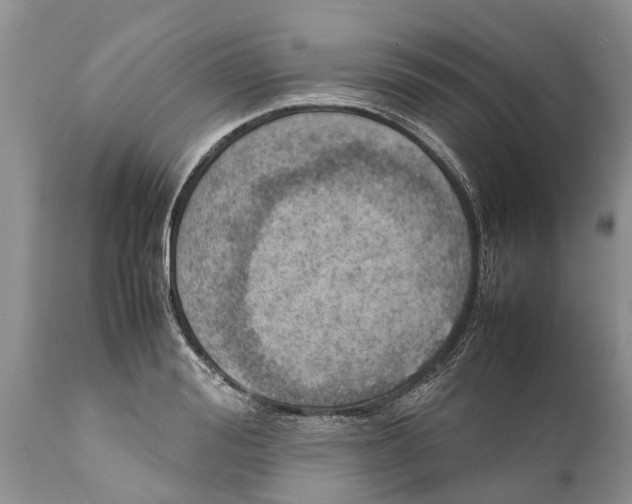 X0000111920988200908171320