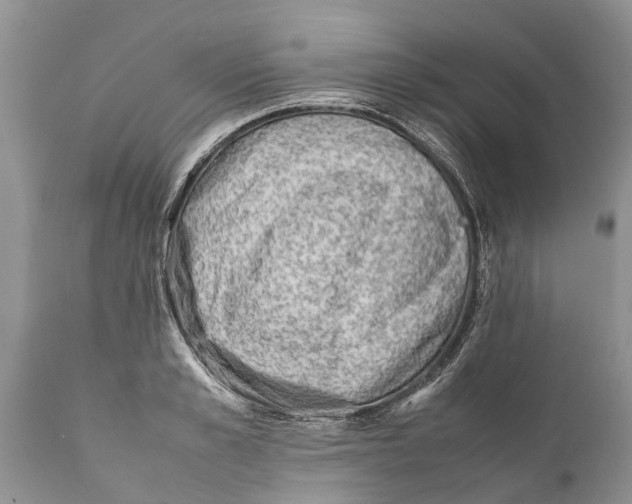 X0000111920989200908171320