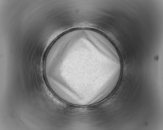 X0000111920990200908171320