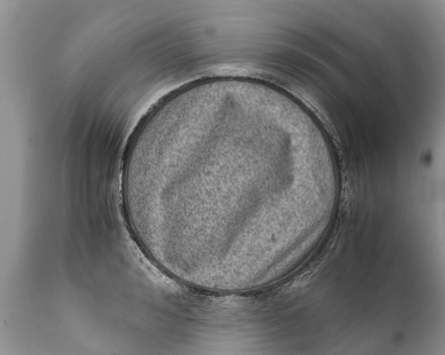 X0000111920992200908171320