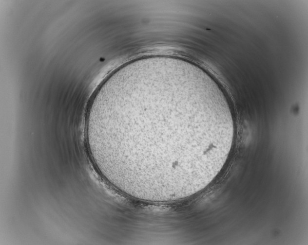 X0000111920994200908171320