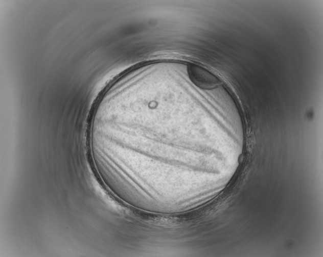 X0000111920995200908171320