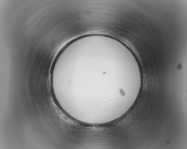 X0000111920996200908171320