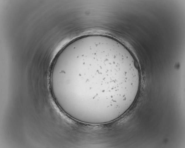 X0000111920997200908171320