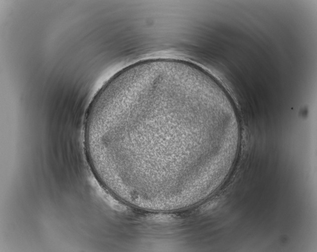 X0000111920998200908171320