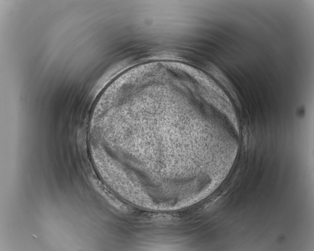 X0000111921002200908171320