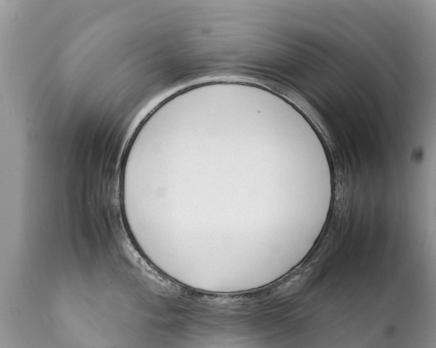 X0000111921004200908171320