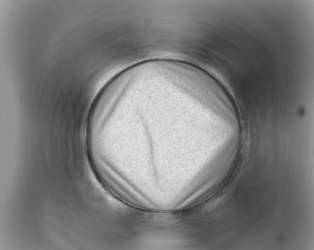 X0000111921007200908171320