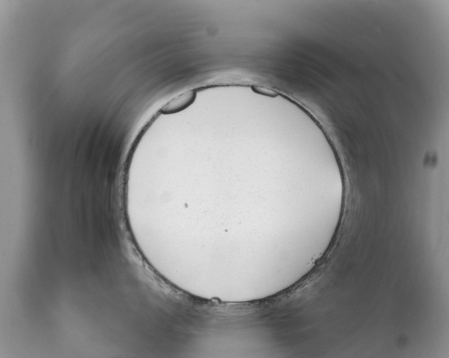 X0000111921008200908171320