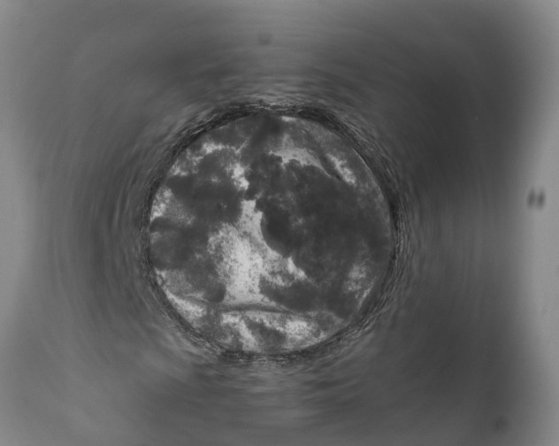 X0000111921009200908171319