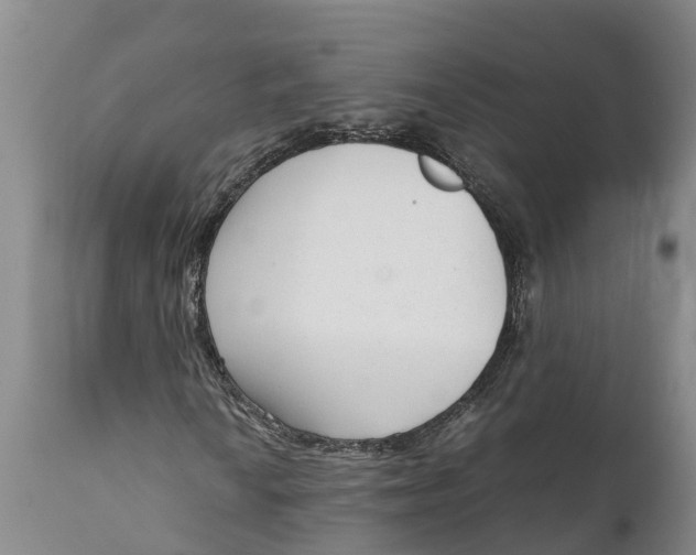 X0000111921010200908171319