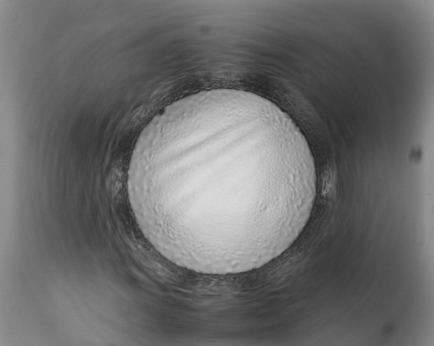 X0000111921011200908171319