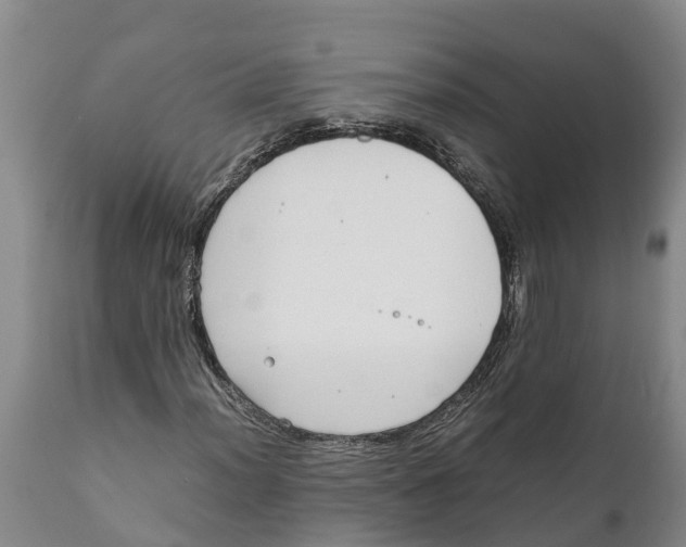 X0000111921012200908171319