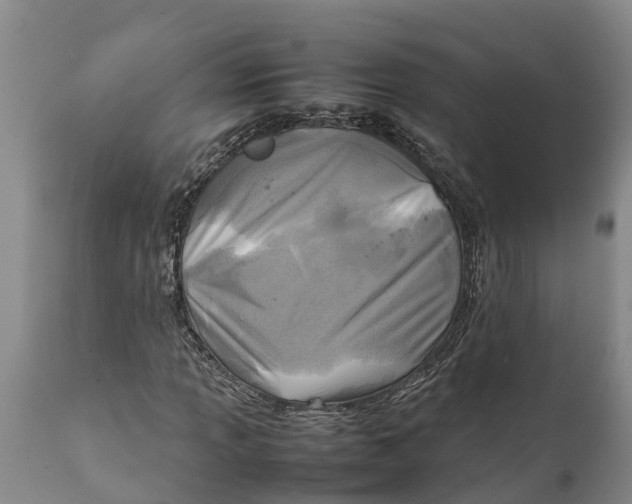 X0000111921013200908171319