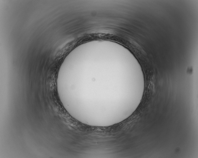 X0000111921014200908171319