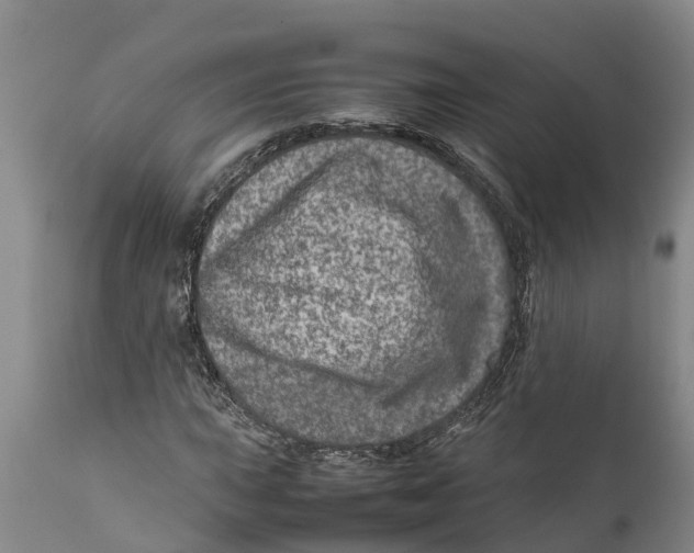 X0000111921015200908171319