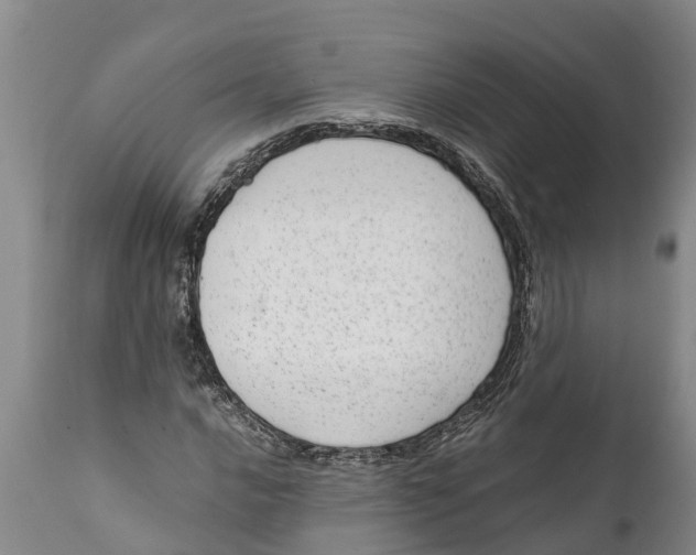 X0000111921016200908171319