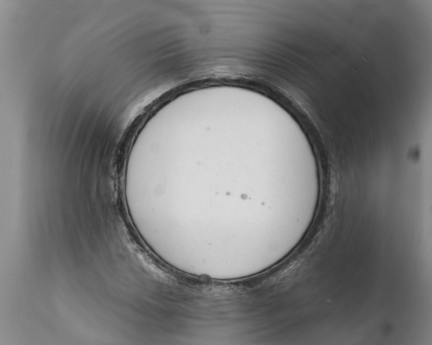 X0000111921018200908171319