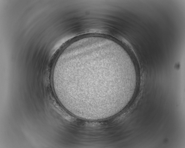 X0000111921019200908171319