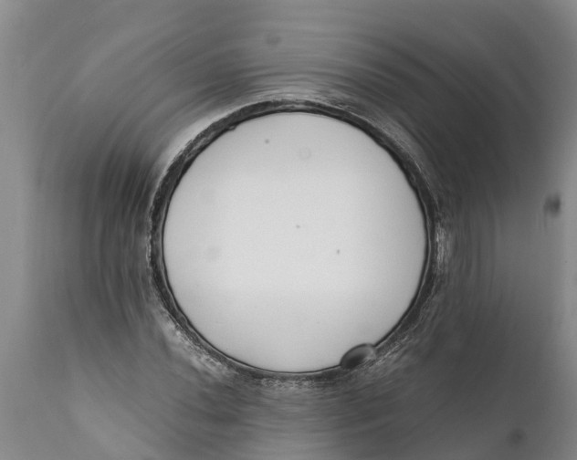 X0000111921020200908171319