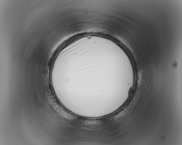 X0000111921021200908171319