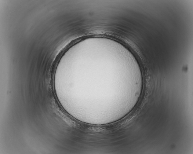 X0000111921023200908171319