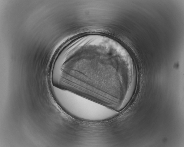 X0000111921024200908171319