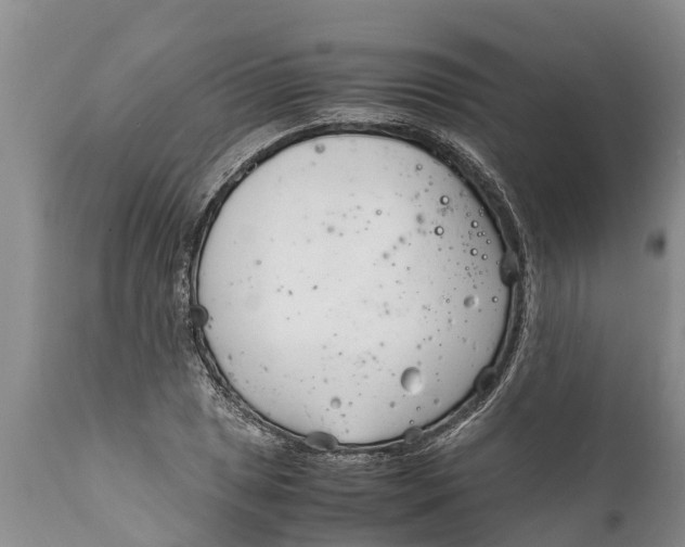 X0000111921025200908171319