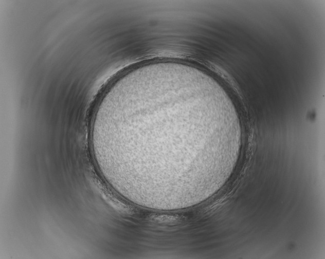 X0000111921027200908171319