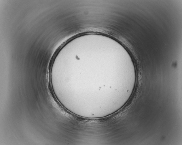 X0000111921028200908171319