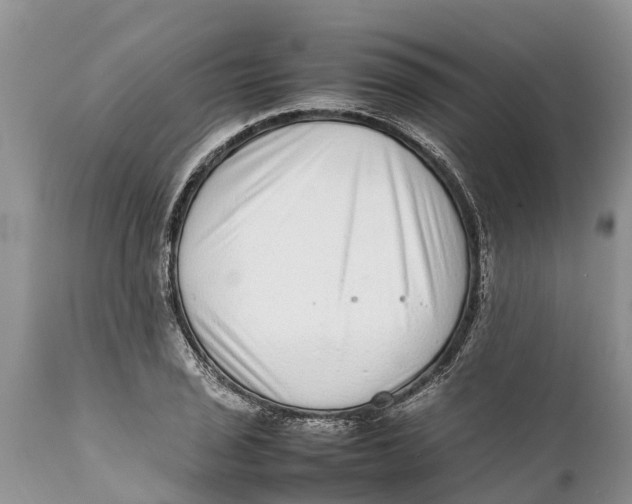 X0000111921029200908171319