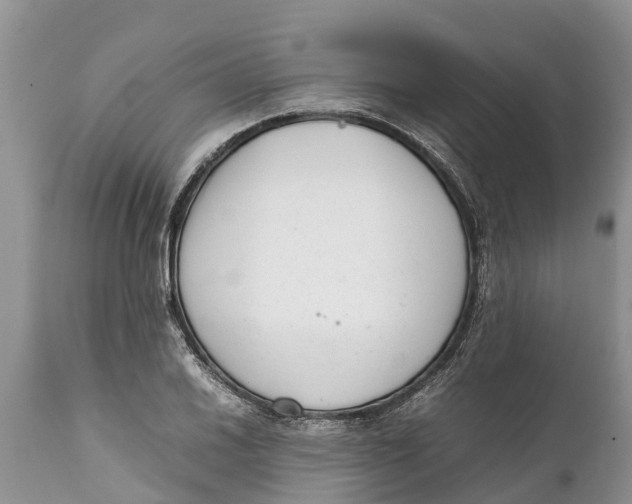 X0000111921030200908171319