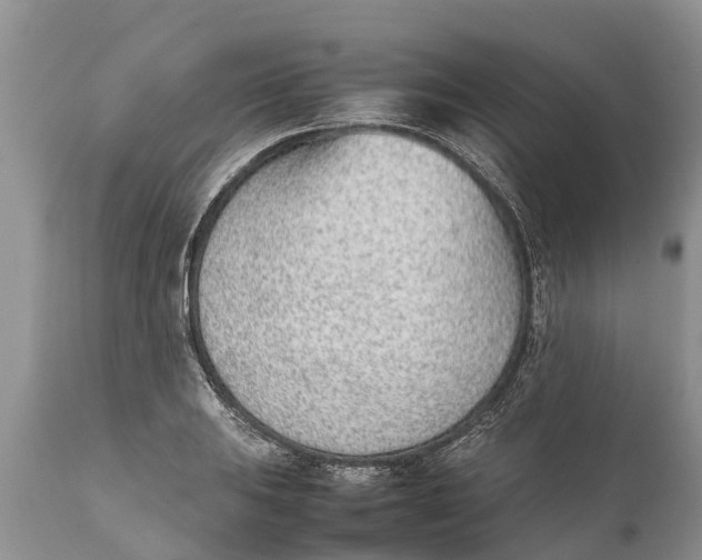 X0000111921031200908171319