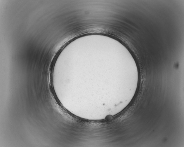 X0000111921034200908171319