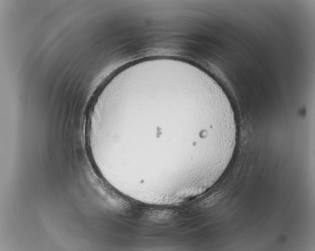 X0000111921035200908171319