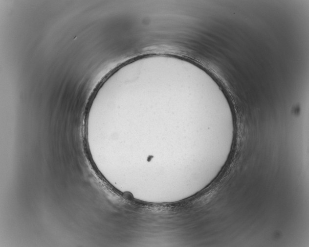 X0000111921040200908171319