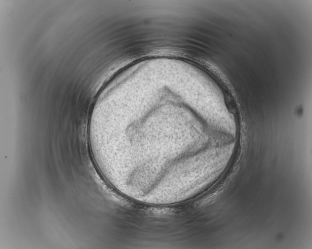 X0000111921041200908171319