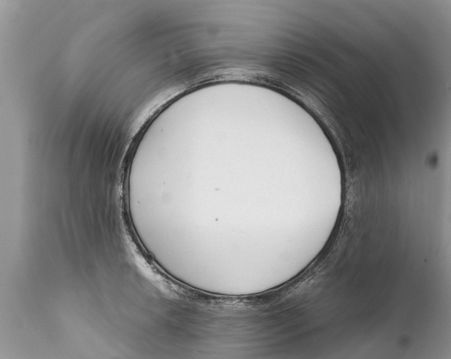 X0000111921042200908171319