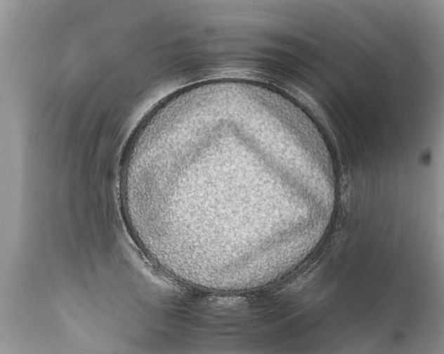 X0000111921043200908171319