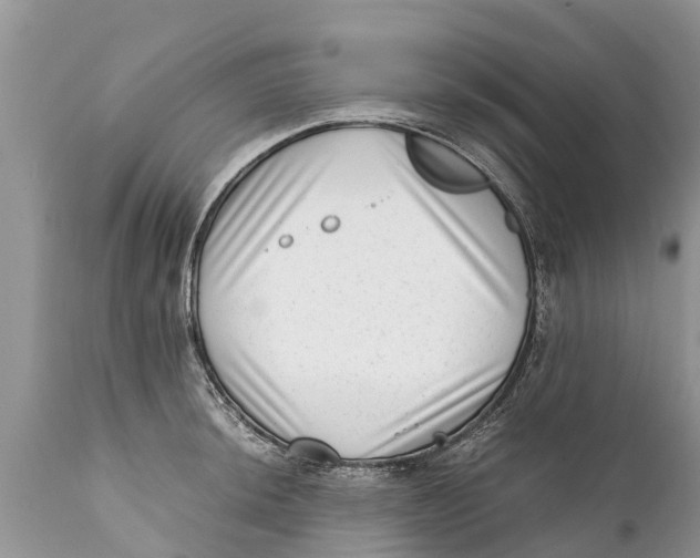 X0000111921044200908171319