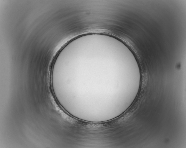 X0000111921046200908171319