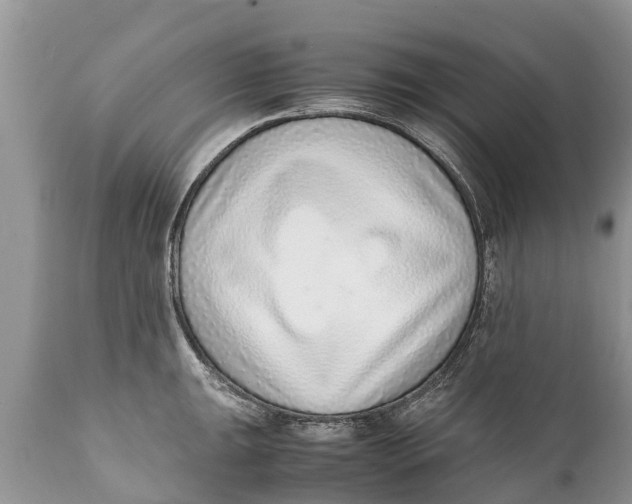 X0000111921047200908171319