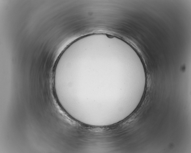 X0000111921048200908171319