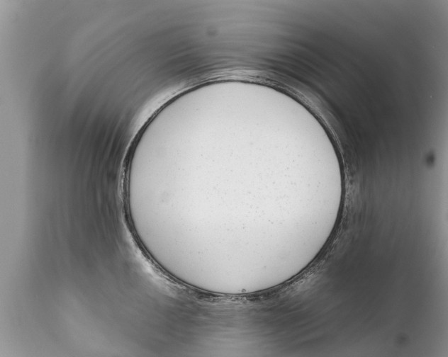 X0000111921050200908171320