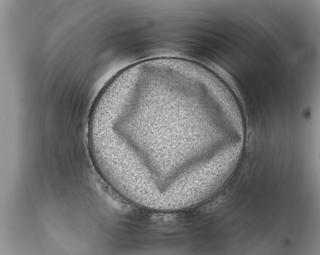 X0000111921051200908171320