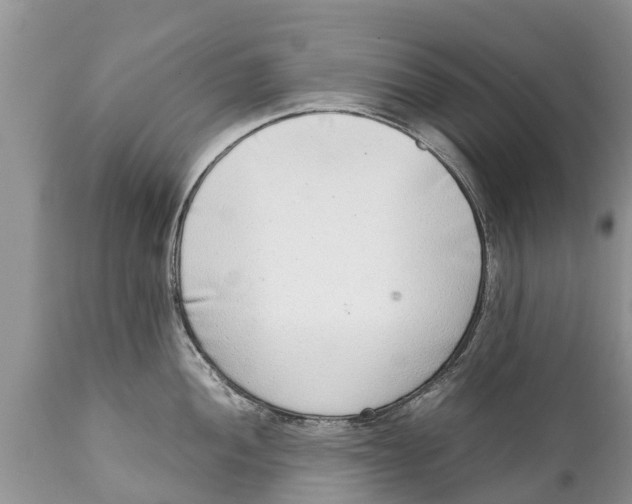 X0000111921052200908171320