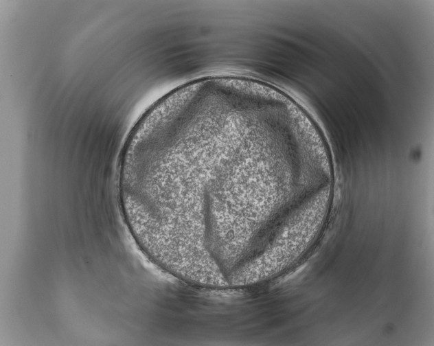 X0000111921053200908171320