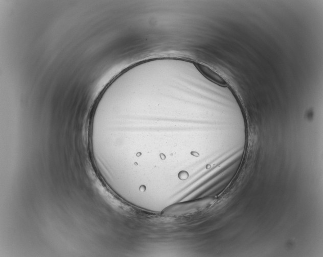 X0000111921054200908171320