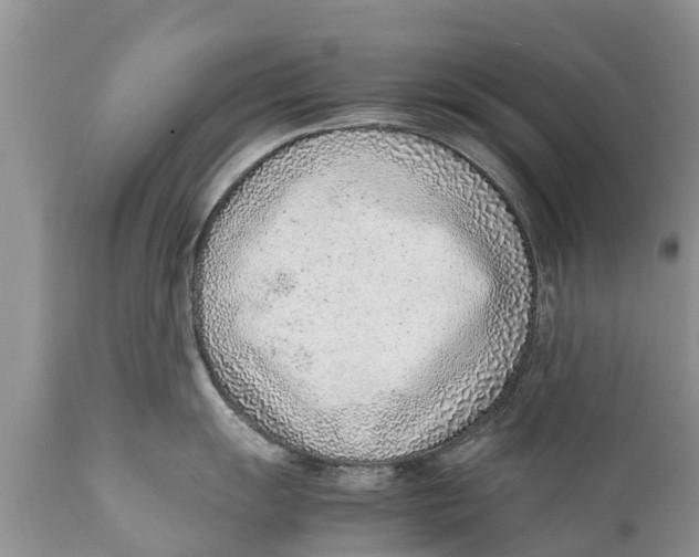 X0000111921055200908171320